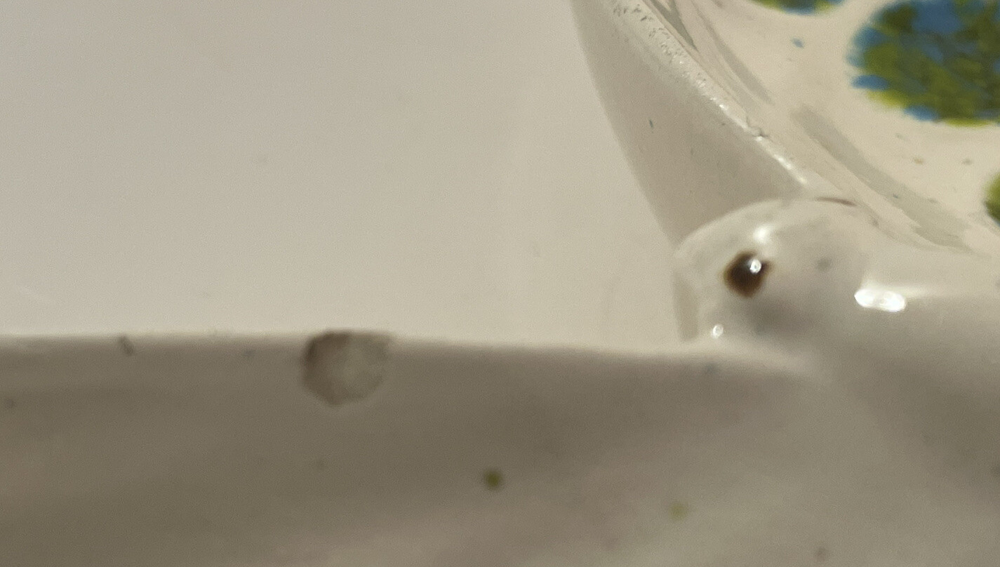 Picture 7 of 13