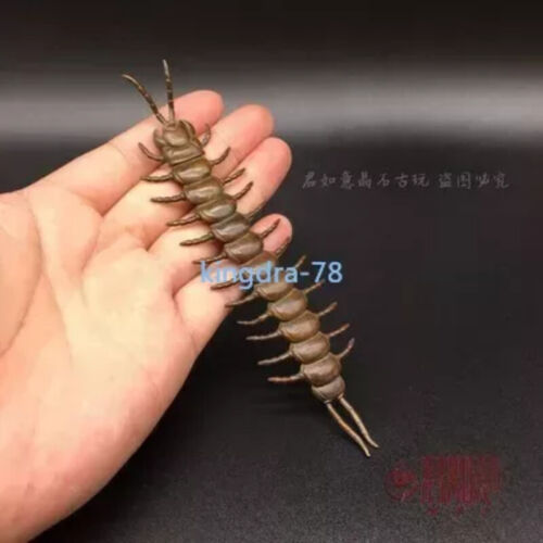 Make Old Copper Centipede Decorative Ornaments in Antique Style - Afbeelding 1 van 5