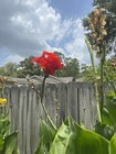 Bild 3 von 4