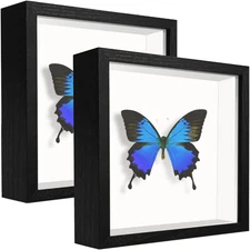 5X5 Small Shadow Box Frame Display Case , Display Case Box for Memorabilia, Meda