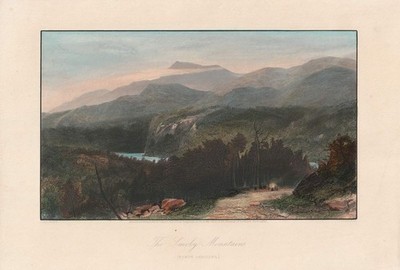 c1870 Great Smoky Mountains North Carolina USA Stahlstich-Ansicht koloriert