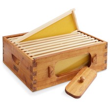 Caja mediana súper encerada con ventana, 10 marcos y 10 bases amarillas