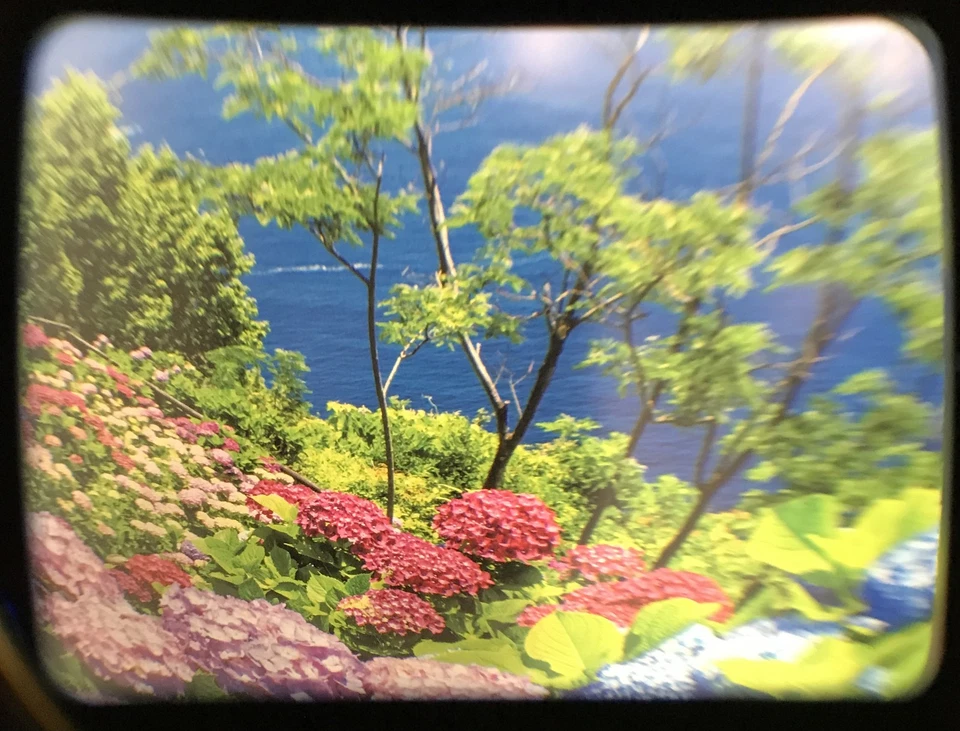 [ Near Mint ] Voigtlander 15mm Viewfinder View Finder Black for Bessa From JAPAN - Image 3 of 4