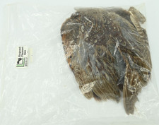 RINGNECK PHEASANT SKIN - Hareline Dubbin Fly Tying Feathers