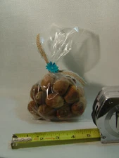 Cute Bag of Bur Oak Tree Acorns Without Caps -- ACORNS ONLY, NO CAPS