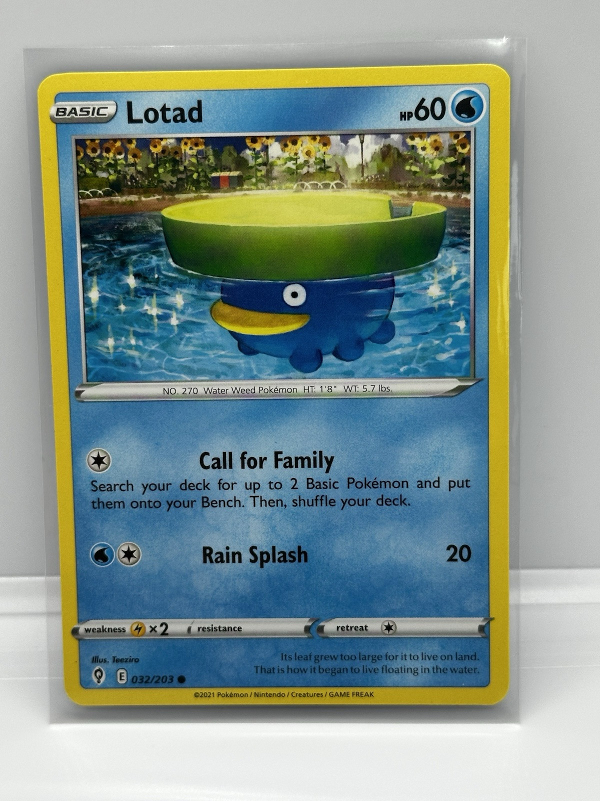 Pokemon Evolving Skies Lotad 32/203 NM/M 