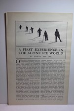 Article: a First Experience in the Alpine Ice World