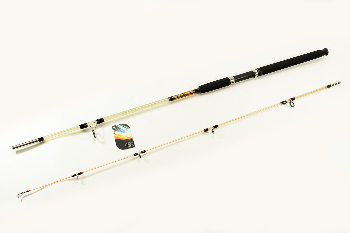 WOW Angelrute 2,10 m Angel -Ruten Steckrute Allroundruten 6 Ringe Angeln |  eBay.de