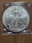 2004 Walking Liberty 1 Oz. Fine Silver Dollar Uncirculated