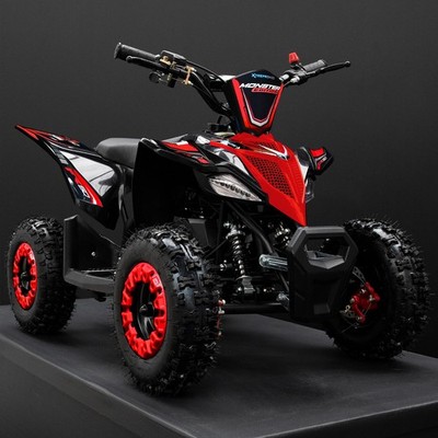 XTM MONSTER 2025 Kids Petrol 2-Stroke Mini Quad Bike 49cc