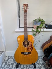 Blue ridge Br-163 Electro Acoustic Guitar With Hard case