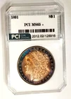 1891-P MS 65 + Super Rare Date Album Rainbow Toned  Morgan Dollar PCI