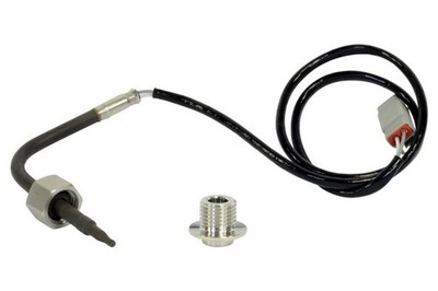 AEM for RTD Exhaust Gas Temperature Sensor Kit