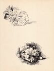 1937 Vintage Cairn Terrier Print Wall Art Decor Lucy Dawson Illustration 5853u