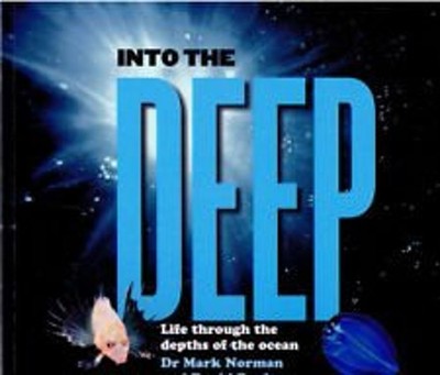 Into the Deep : Life Through the Depths of the Ocean Dr.  Mark  N