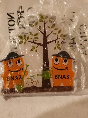 Amazon Peccy Pin Tree Planting BNA2 And BNA3