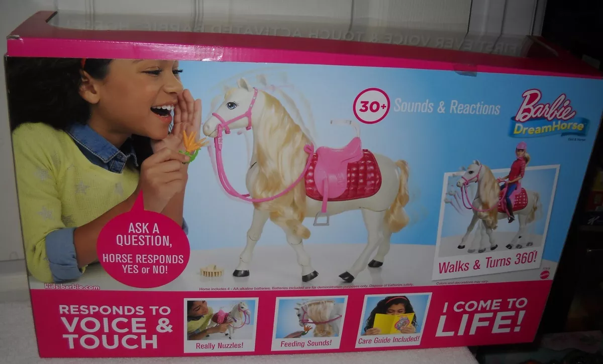 Barbie dreamhorse and on sale barbie doll