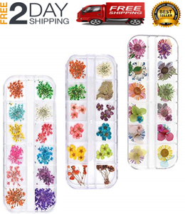 Juego De Flores Secas Reales De Arte De Unas De 88 Piezas Kits De Accesorios Ebay