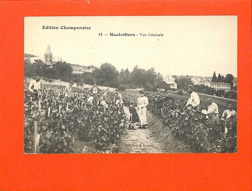 CPA 51 - Carte Postale Ancienne Vendanges En Champagne - Retour Des Vendanges