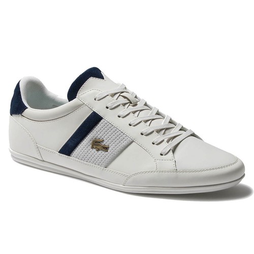 chaymon 120 4