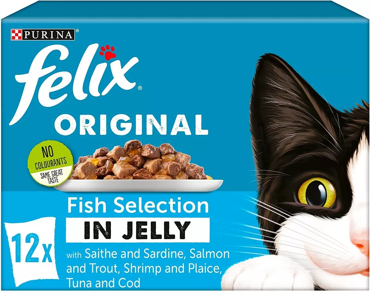 Fish top cat food