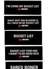 CELTEK SNOWBOARD SKI GLOVES BUCKET LIST SHRED BONER HOOD RICH LOGO STICKER DECAL