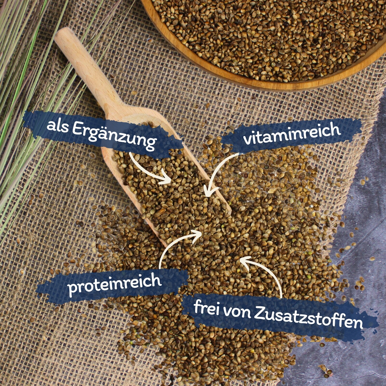 Bild 3 von 8