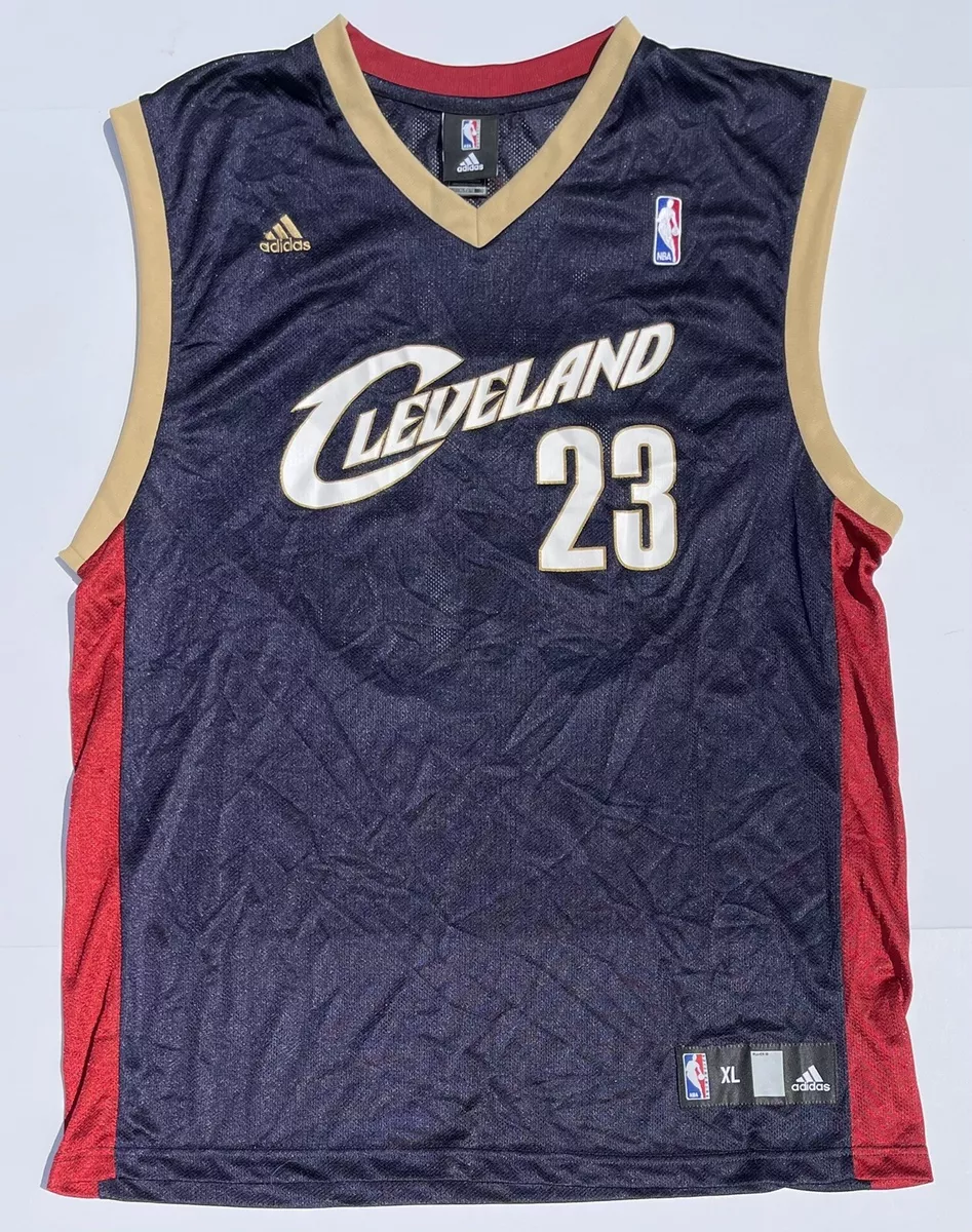 lebron james blue cavs jersey