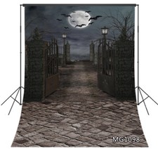 Halloween Night Moon Bats Graveyard Gate Backdrop 5x7ft Vinyl Photo Background