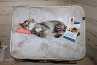 Katzen Liegematte Nani 40 X 30 Cm Von Trixie Sehr Weich