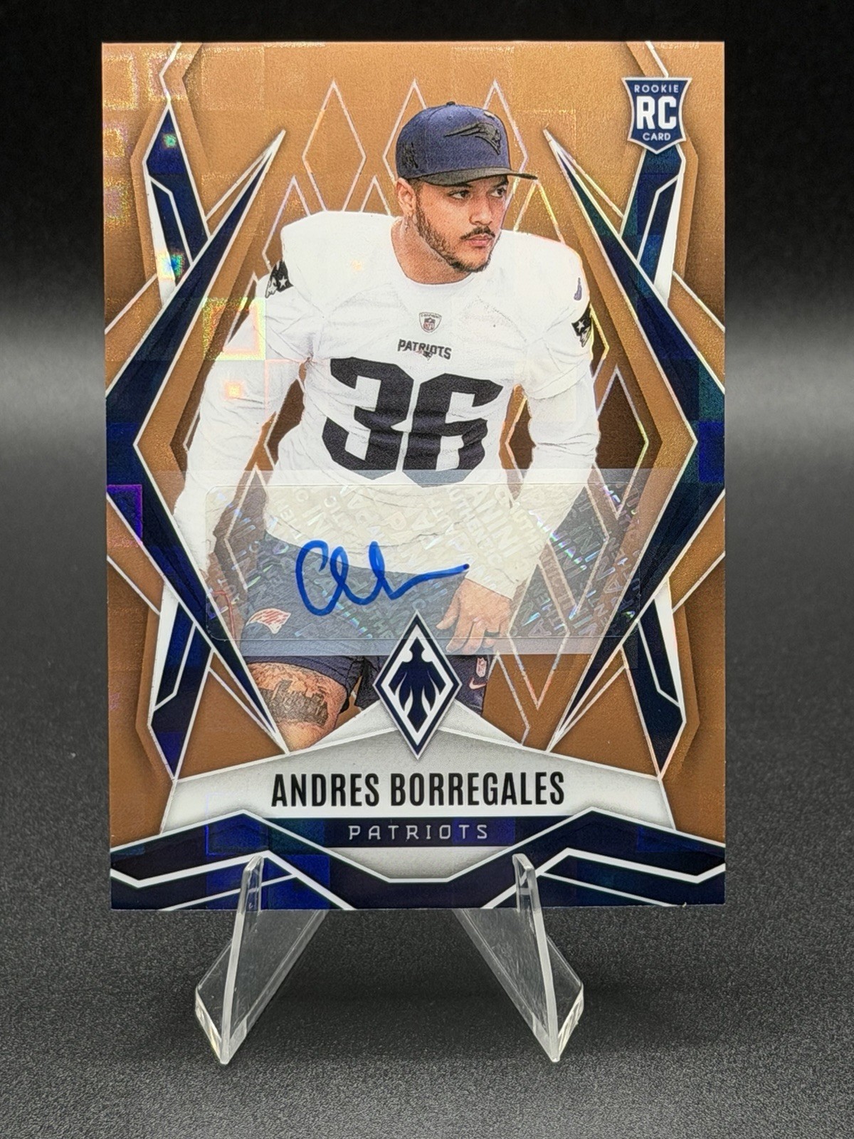 Andres Borregales Panini Phoenix #214 Autograph Bronze Pandora