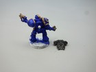 Picture 4 of 4