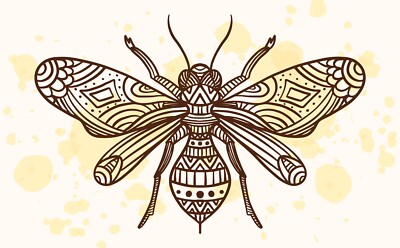 3  Bee Mandala Sticker Beautiful Honey Hive Queen Utah Flowers Life Save Earth