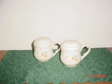 2-PC INTERNATIONAL CHINA "MARMALADE" SALT & PEPPER SHAKERS/8868/CRM-BLUE/SALE-S