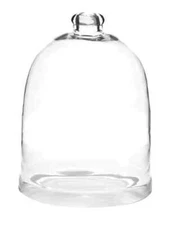 Bell Glass Cloche 9 x 12