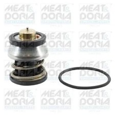 Thermostat BMW 3,3