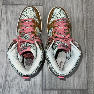 nori★　NIKE Women's Dunk High Nike Dunk High Nori Desert Bloom 2007 314385-361 Mens Size