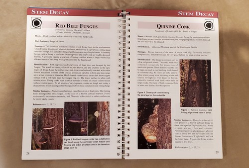 A Field Guide To Diseases & Insect Pests of Northern & Central Rocky Mountain - Picture 6 of 10