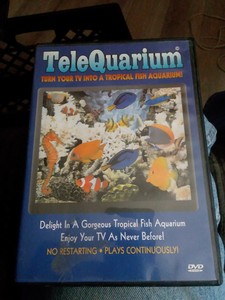 Image of 619543006235