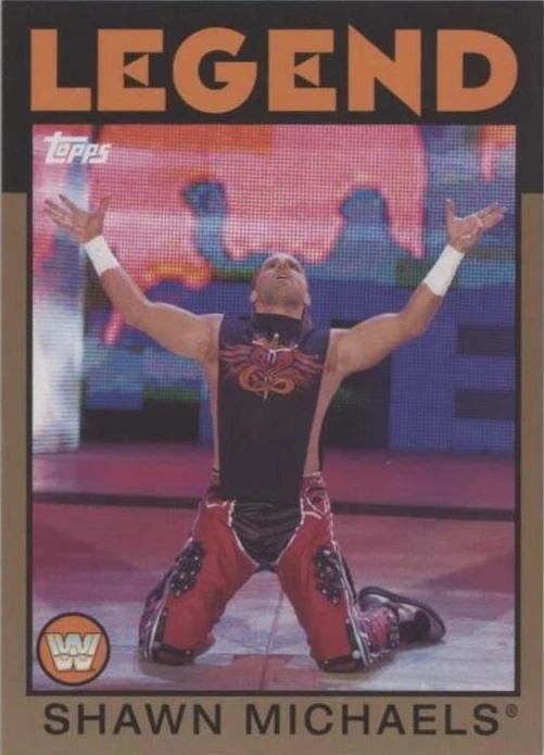 WWE Tag Team Championship Bronze