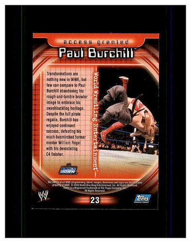 2006 TOPPS WWE RESTRICTED ACCESS CARDS YOU PICK SEE SCANS OF EVERY CARD - Picture 9 of 25