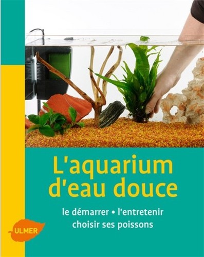 Macro Profil Photo D'un Poisson-ange D'eau Douce Sous L'eau Image stock