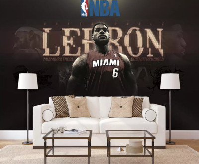 3D Basketball Star ZHUA28271 Wallpaper Wall Murals Removable Self-adhesive Ann