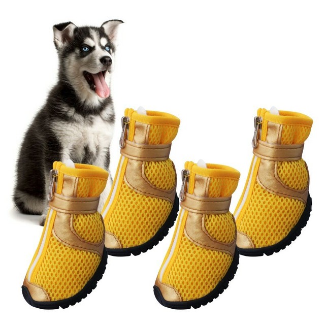 ebay dog boots