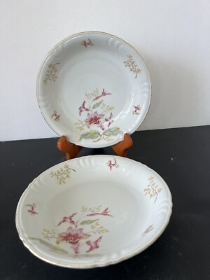 Set Of Two Hibiscus By Wintering-Bavaria 7.5  Coupe Soup Bowl Germany