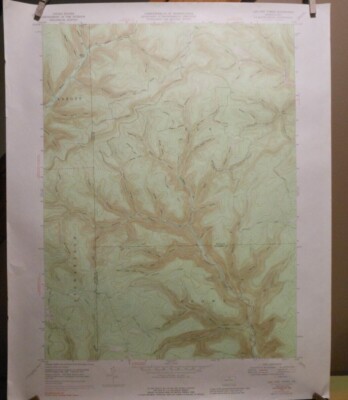 VTG PA TOPOGRAPHIC GEOLOGICAL SURVEY '' LEE FIRE TOW ER ''  QUADRANGLE MAP