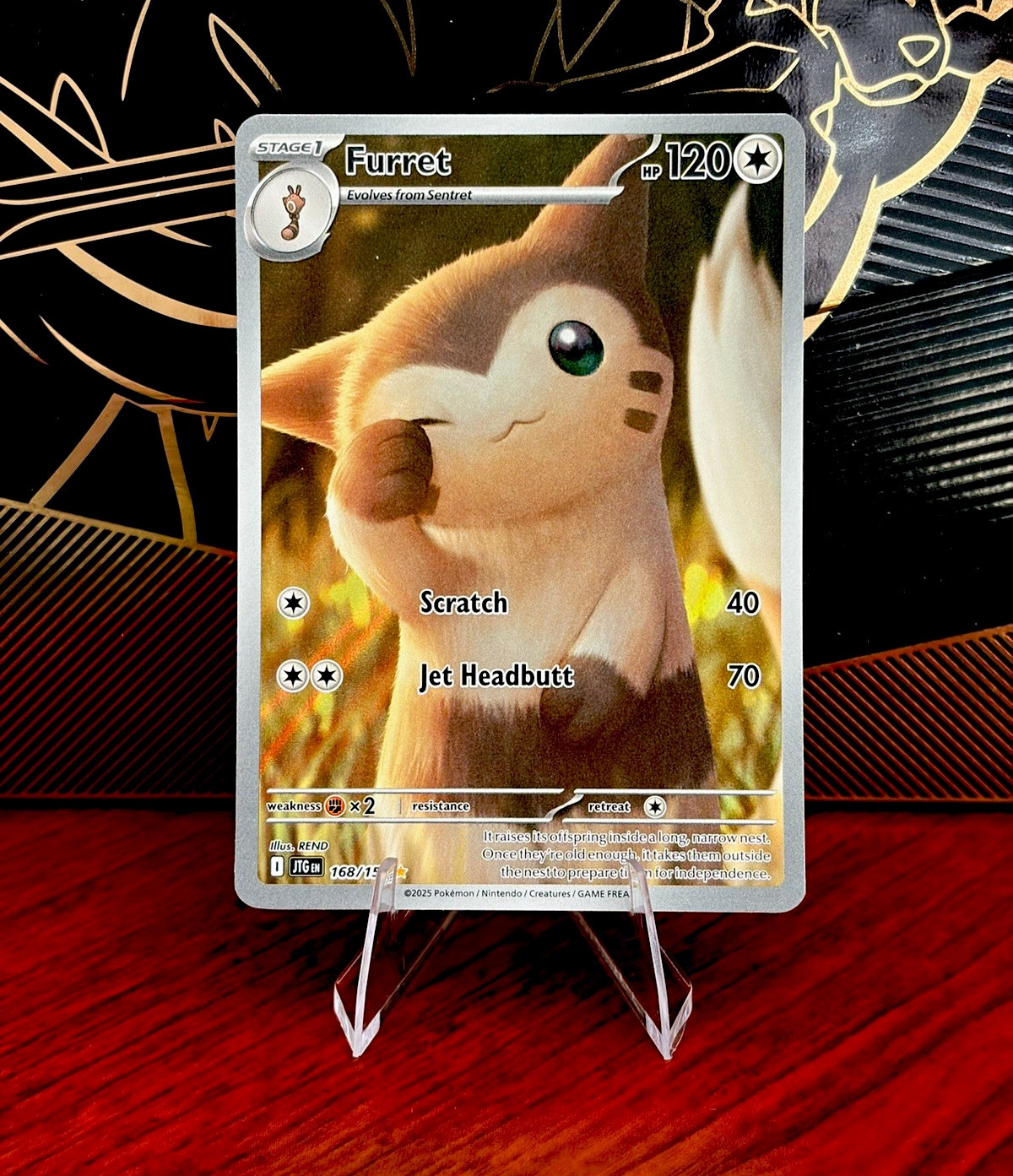 Furret 168/159 - Illustration Rare Holo - JTG EN - Pokemon TCG