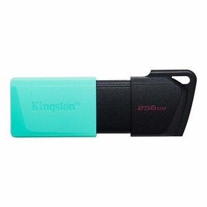 Kingston DataTraveler Exodia M 256GB USB-Stick - Türkis/Schwarz (TXM/256GB)
