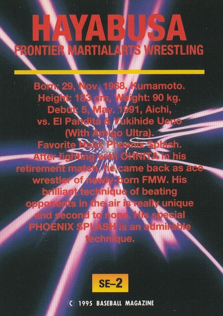 Hayabusa 1995 BBM Pro Wrestling Super Stars #SE-2 | eBay