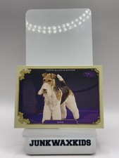 2024 Topps Allen & Ginter #SOS-14 King Stars Of The Show